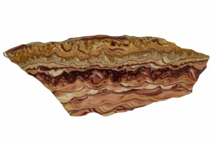Polished Slab Of Rolling Hills Dolomite - Mexico #316686